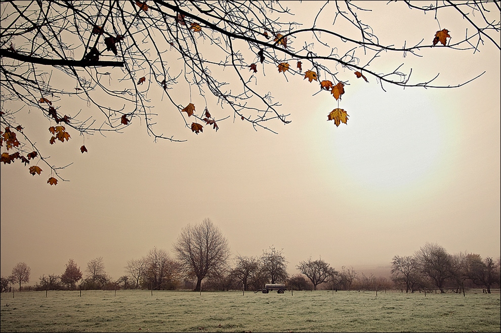 Novembermorgen