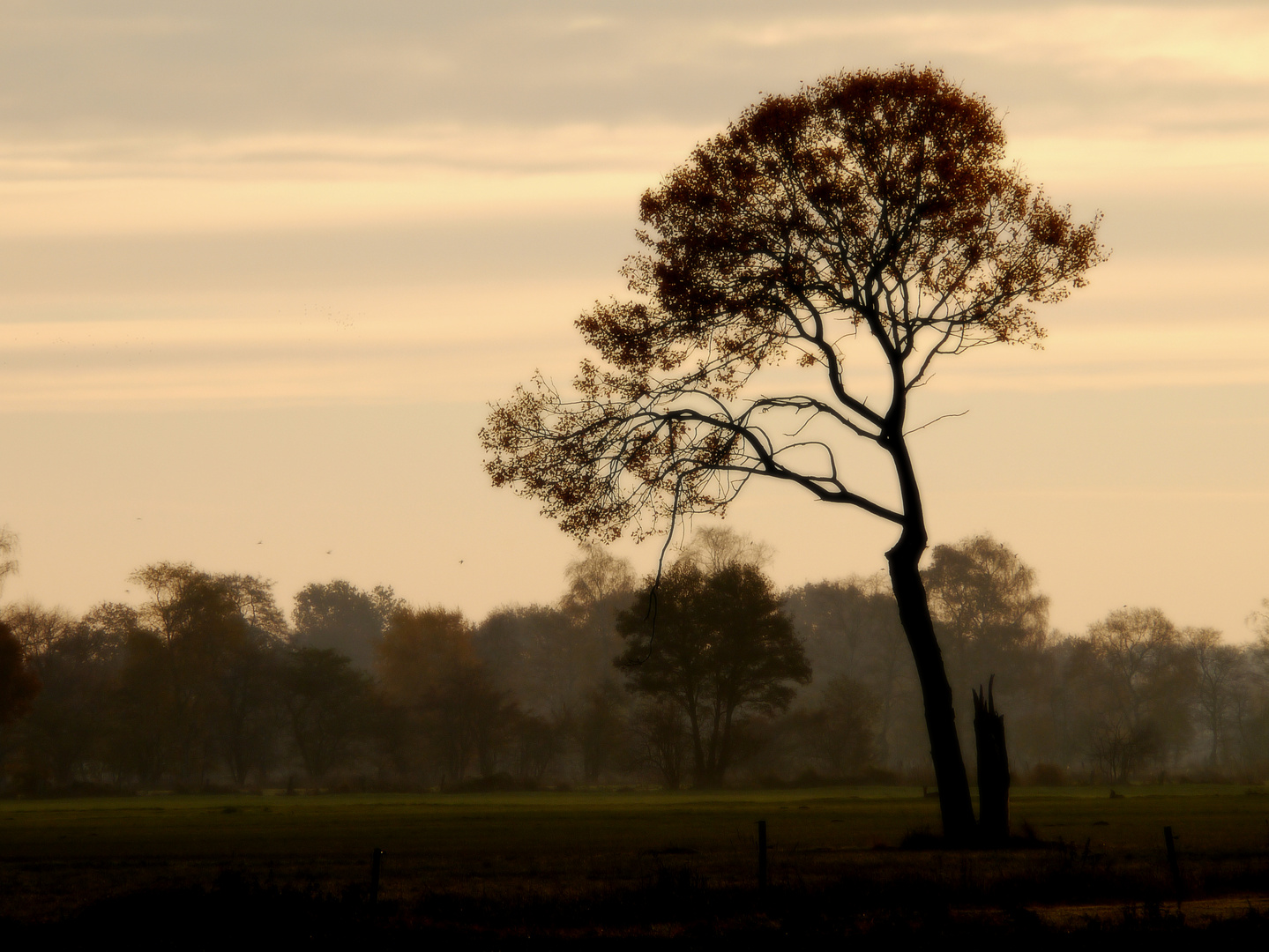 Novembermorgen