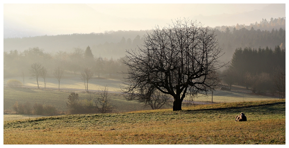 Novembermorgen