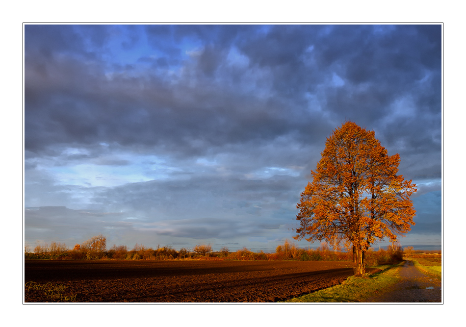 Novembermorgen