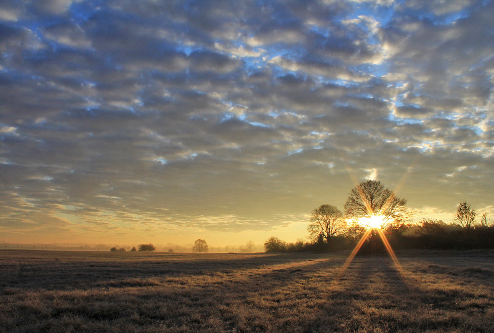 Novembermorgen (II)