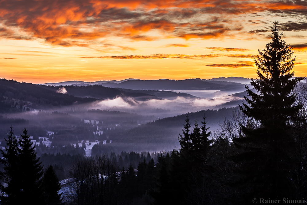 novembermorgen im böhmerwald