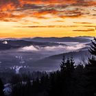 novembermorgen im böhmerwald