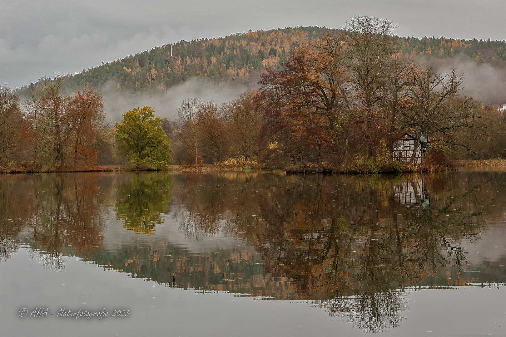 Novembermorgen im Park - 1