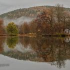 Novembermorgen im Park - 1