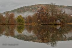 Novembermorgen im Park - 1