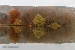 Novembermorgen im Park - 2