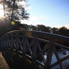 Novembermorgen im Schlosspark Dieskau (Sachsen-Anhalt)