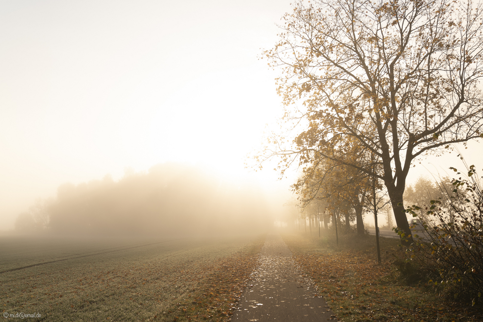 Novembermorgen in Brandenburg