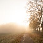 Novembermorgen in Brandenburg