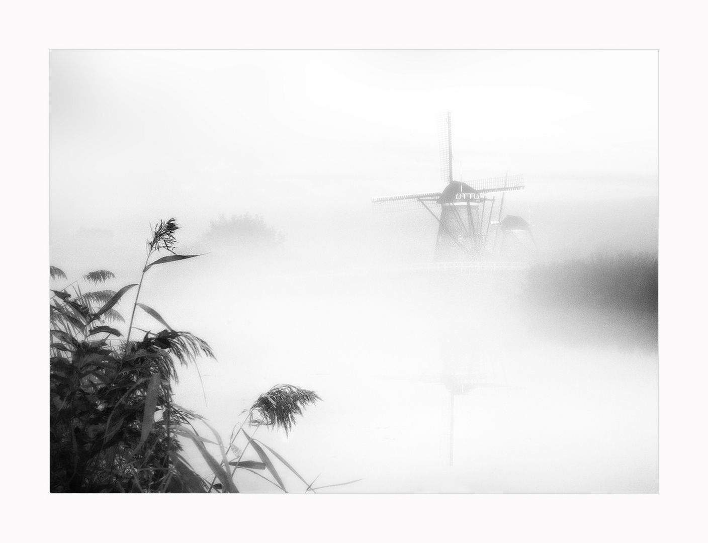 Novembermorgen in Kinderdijk