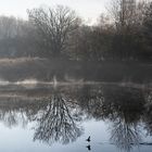 Novembermorgen mit schwungvollem Durchlauf