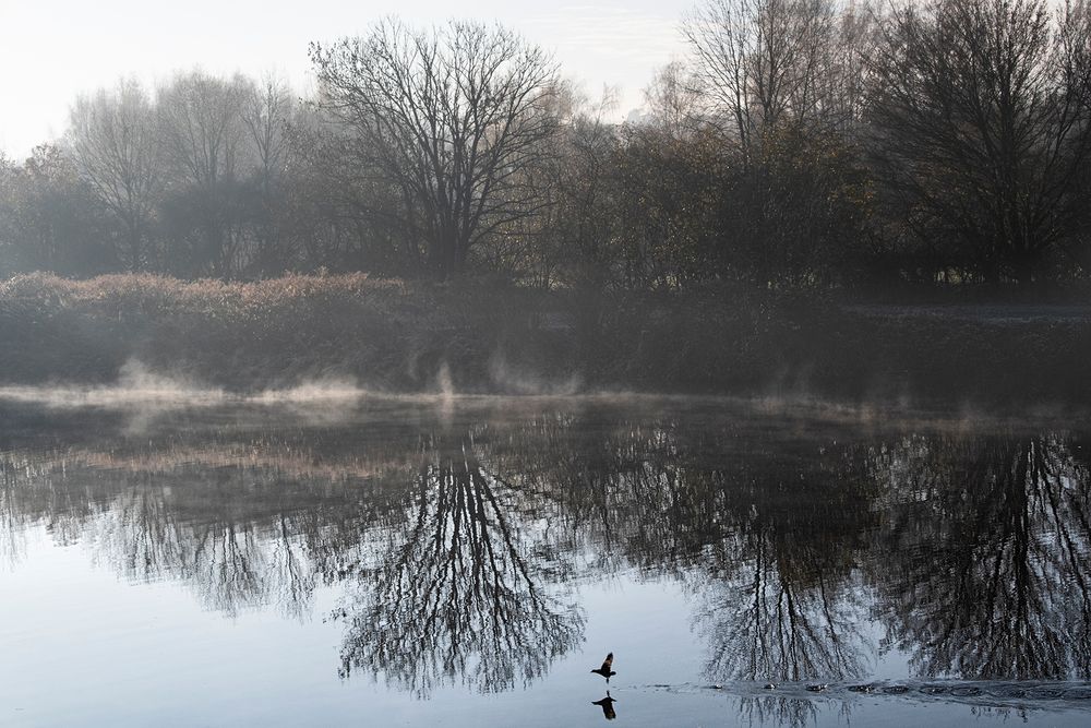 Novembermorgen mit schwungvollem Durchlauf