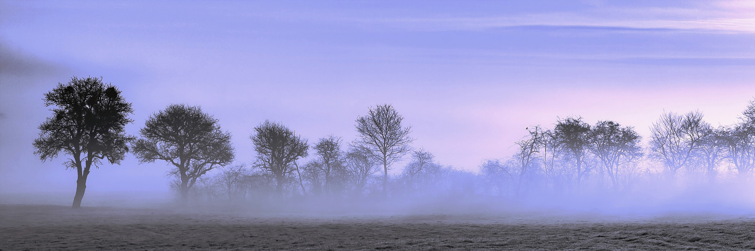 Novembermorgen mit Streuobstwiese