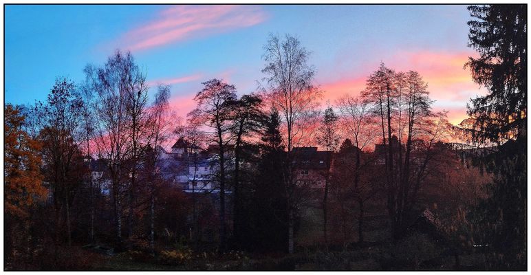 Novembermorgen nach Nachtfrost