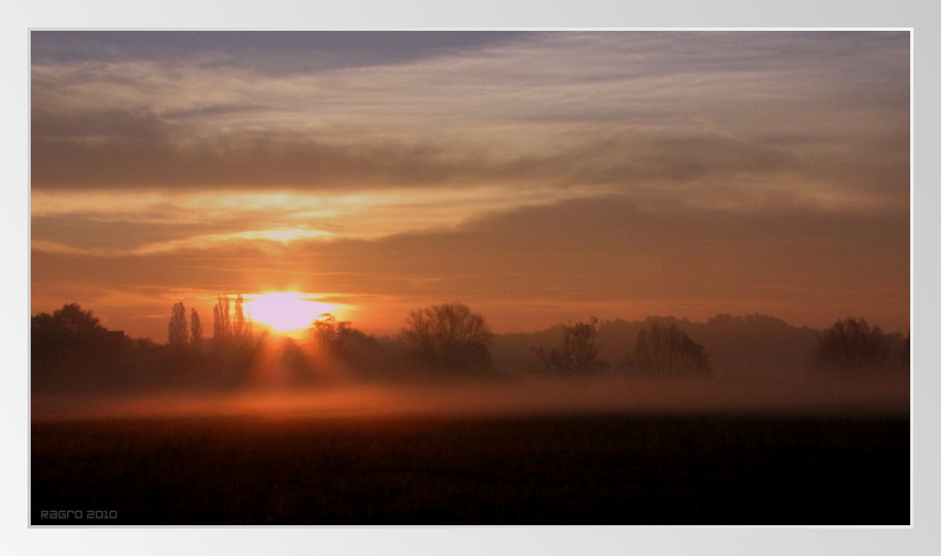 NovemberMorgenNebel