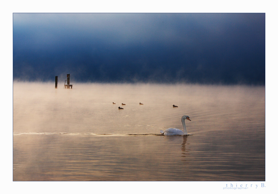 Novembermorning überarbeitet