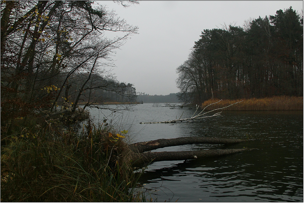 Novembernachmittag am Hellsee