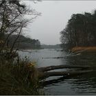 Novembernachmittag am Hellsee