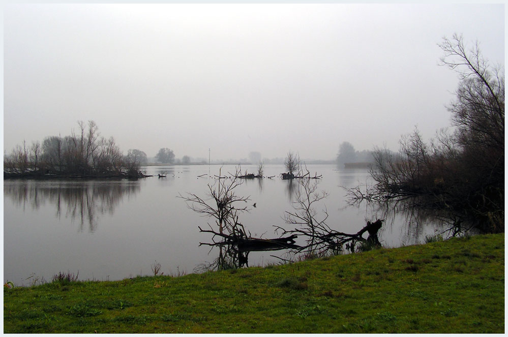 Novembernachmittag an der Alten Süderelbe