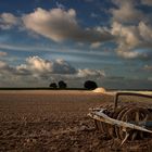 Novembernachmittag auf dem flachen Land