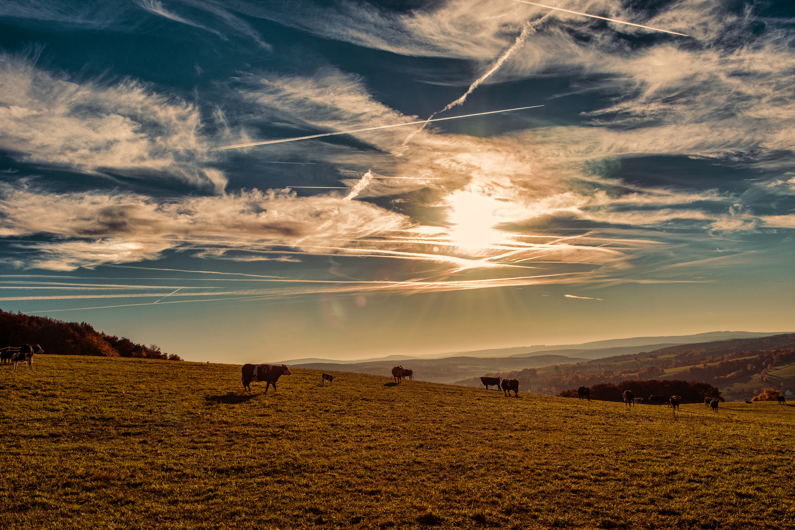 Novembernachmittag in Thüringen