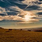 Novembernachmittag in Thüringen