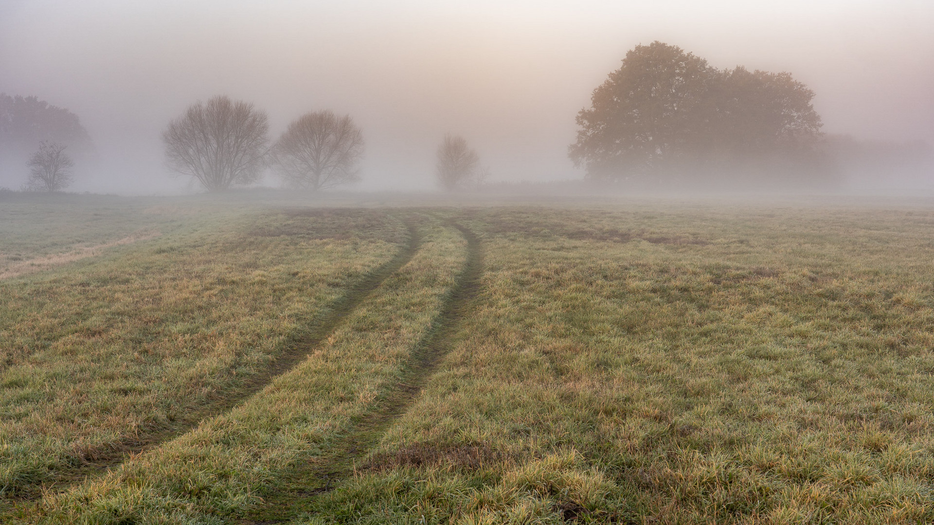 novembernebel