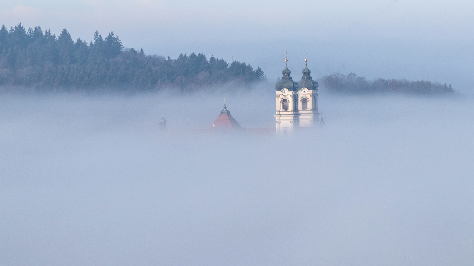 Novembernebel