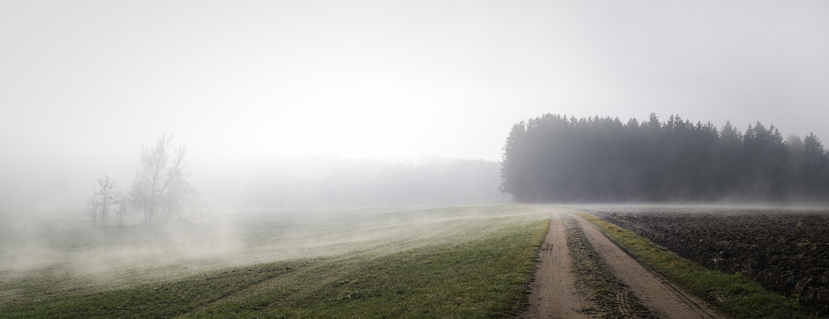 Novembernebel