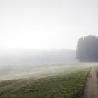 Novembernebel