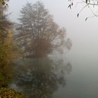 Novembernebel