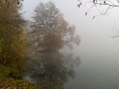 Novembernebel