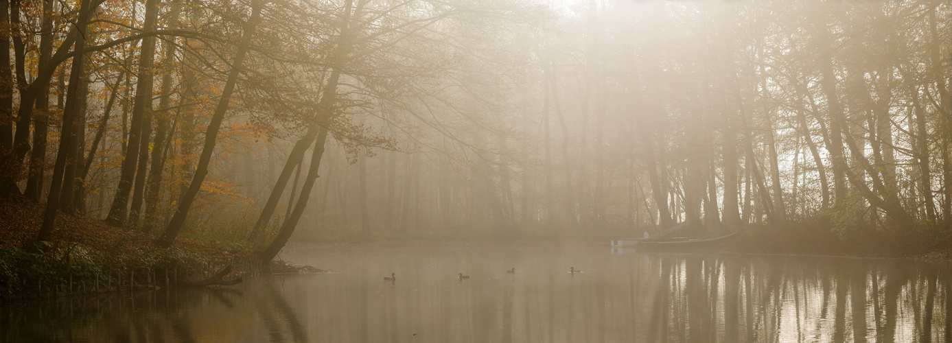 Novembernebel