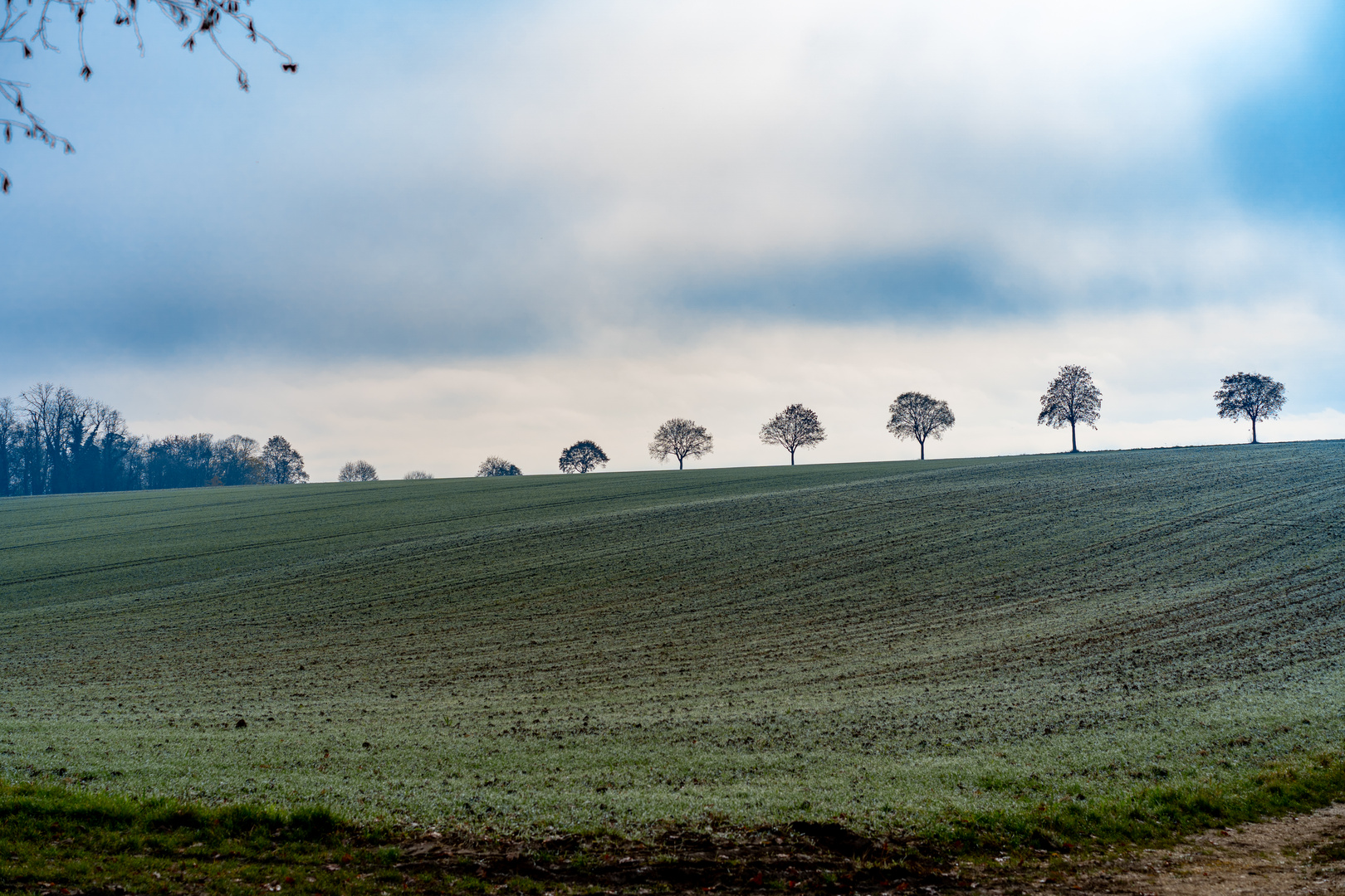 Novembernebel