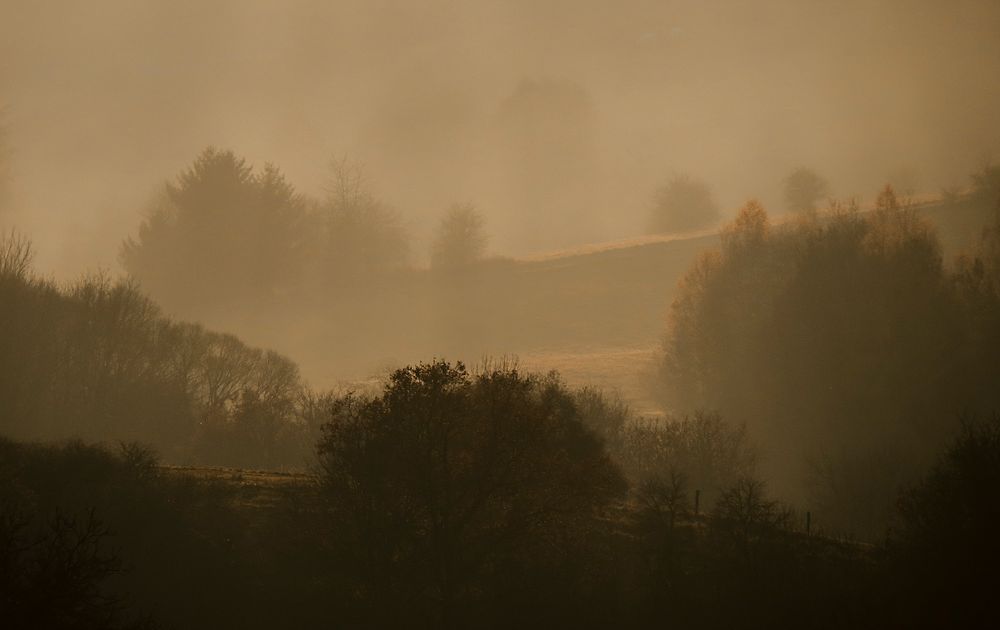 Novembernebel