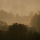 Novembernebel