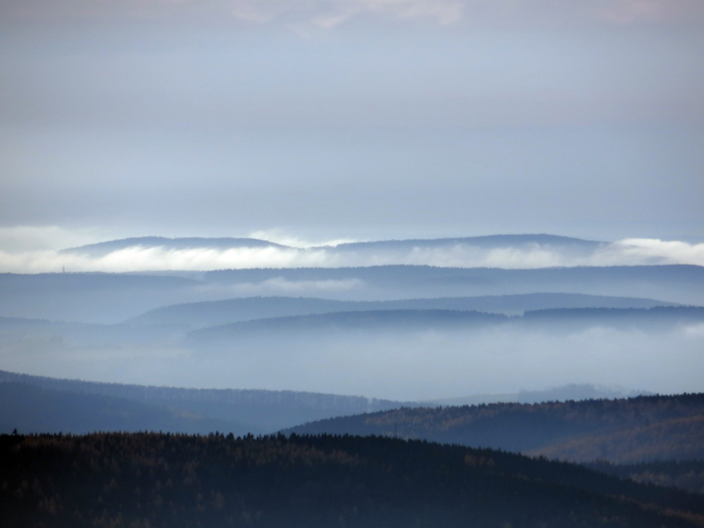 Novembernebel