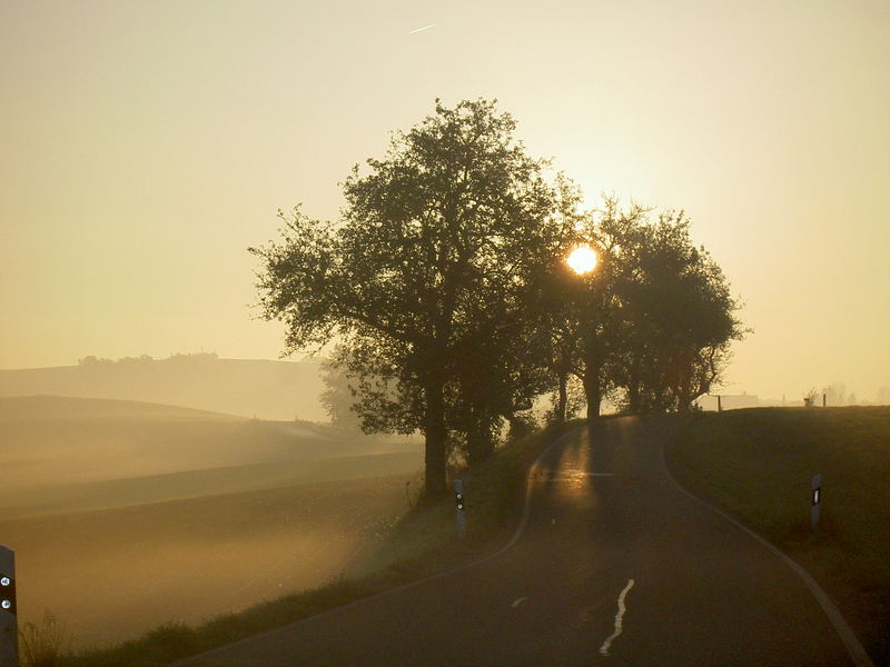 novembernebel