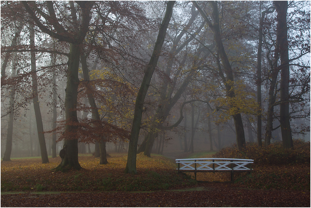 Novembernebel..