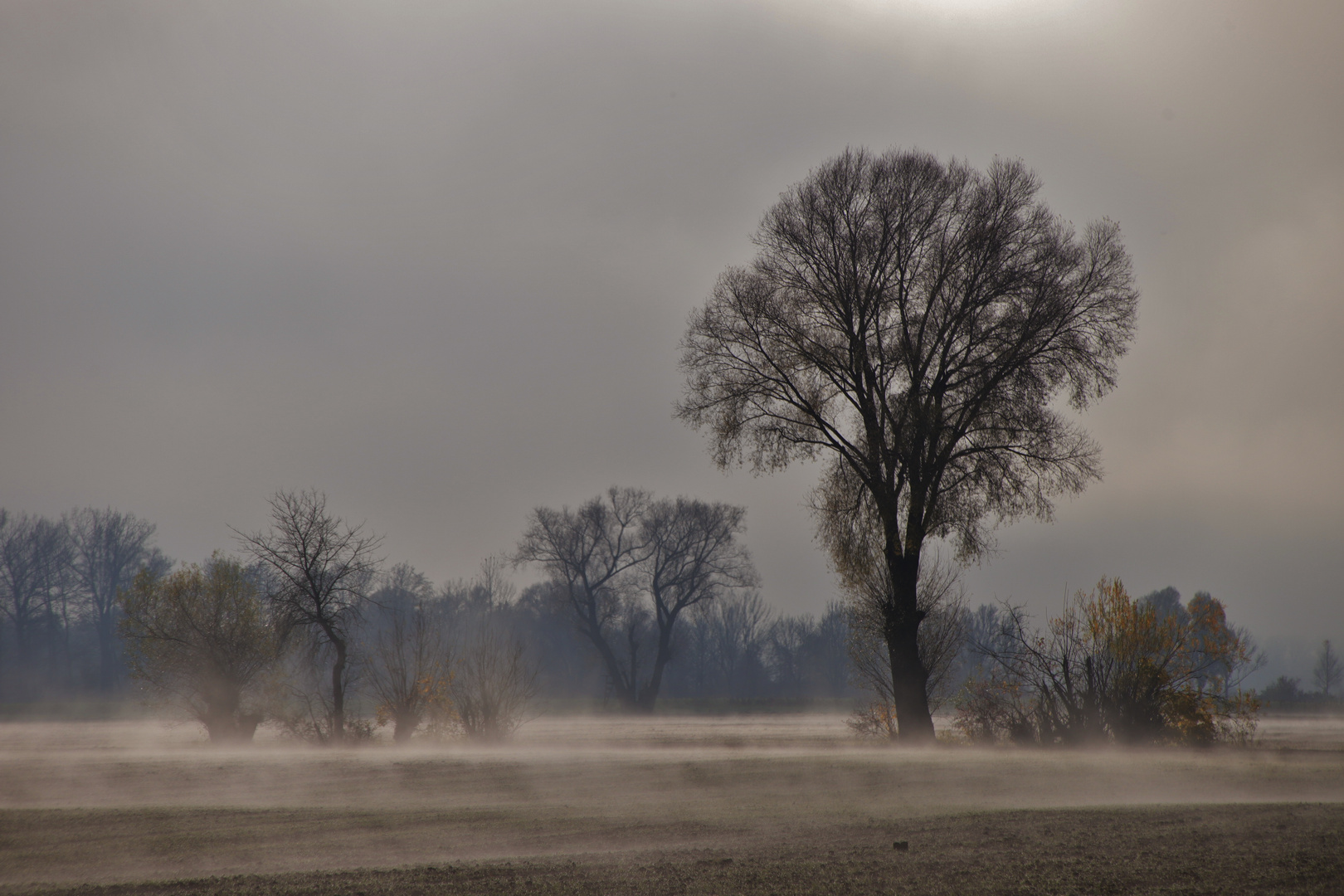 Novembernebel