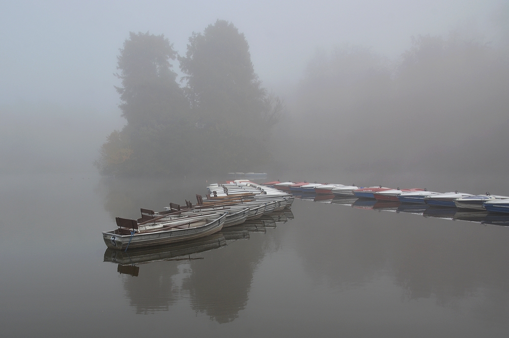 Novembernebel