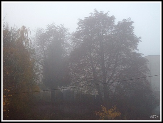 Novembernebel