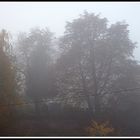 Novembernebel