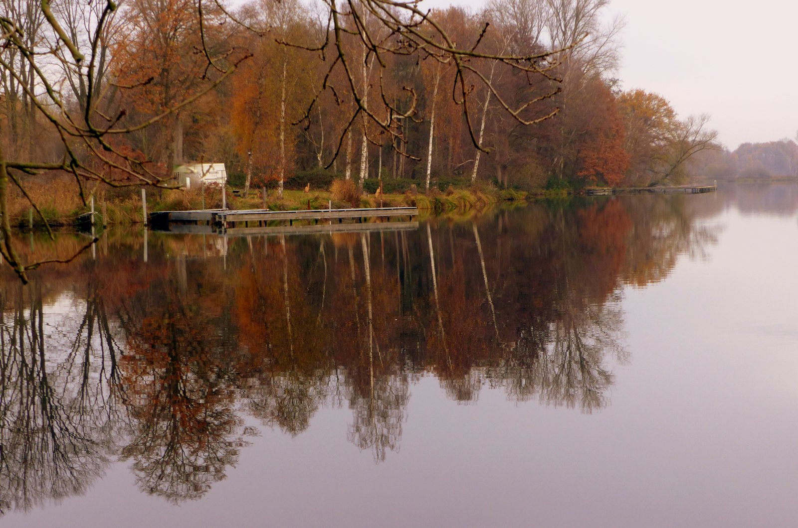 Novembernebel