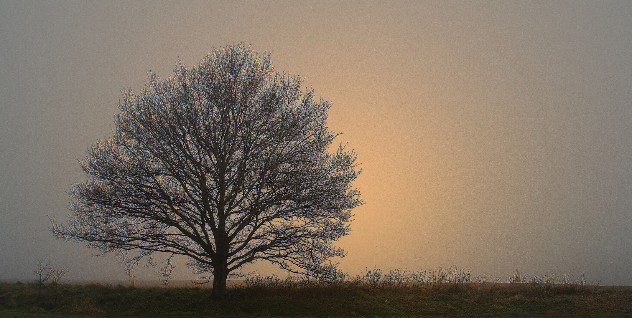 Novembernebel