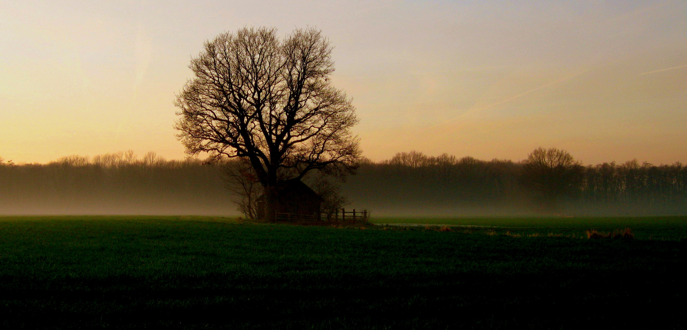 Novembernebel