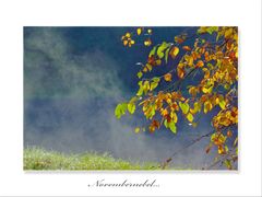 Novembernebel...