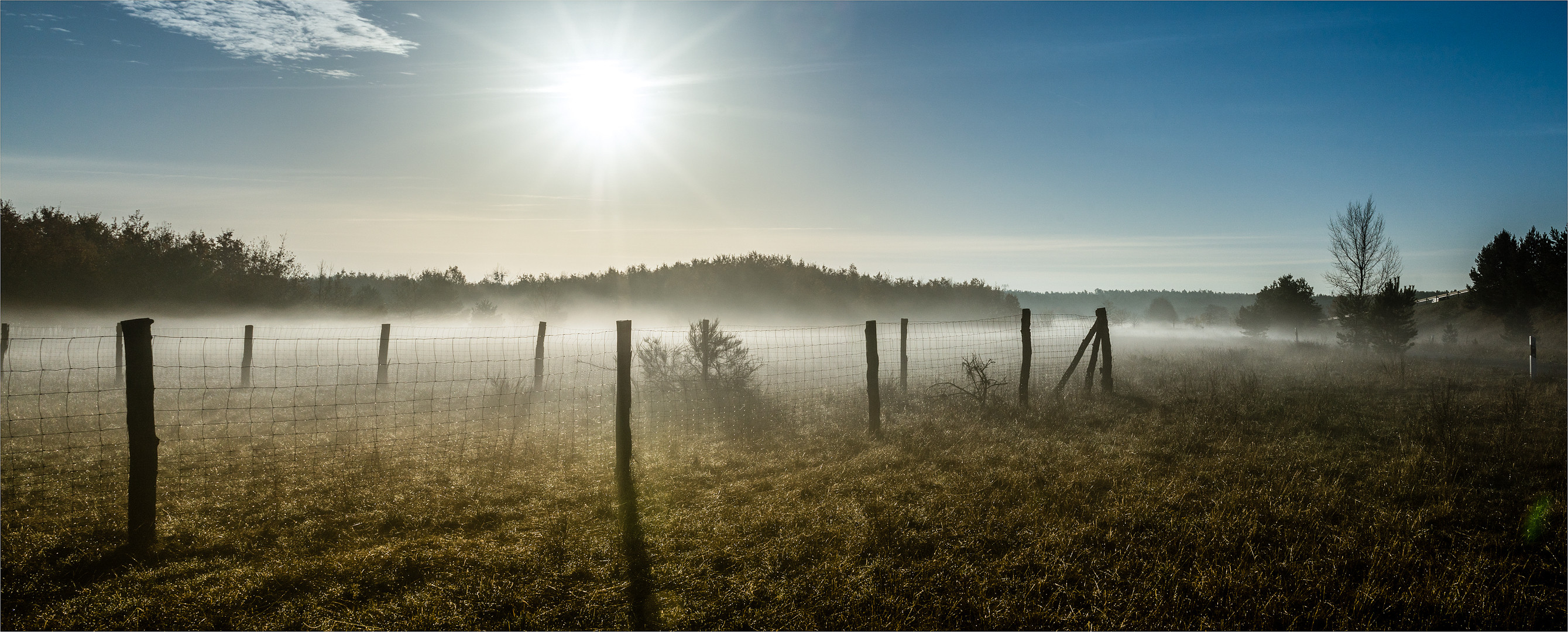 NovemberNebel