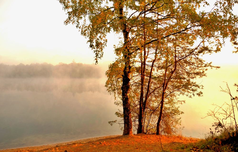 nOvEmbernEbel...